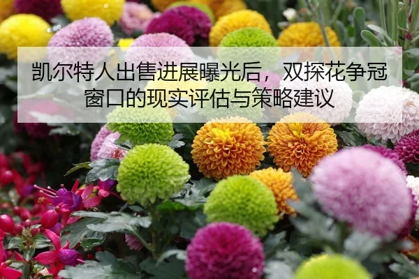 kai-er-te-ren-chu-shou-jin-zhan-bao-guang-hou-shuang-tan-hua-zheng-guan-chuang-kou-de-xian-shi-ping-gu-yu-ce-lve-jian-yi-2-464.jpg