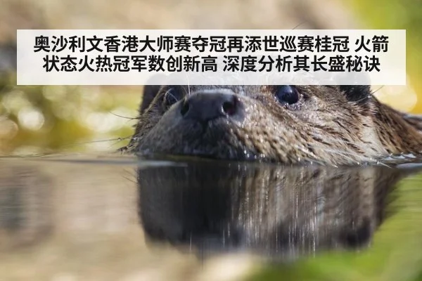 奥沙利文香港大师赛夺冠再添世巡赛桂冠 火箭状态火热冠军数创新高 深度分析其长盛秘诀